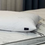 بالش پر دکتر 20